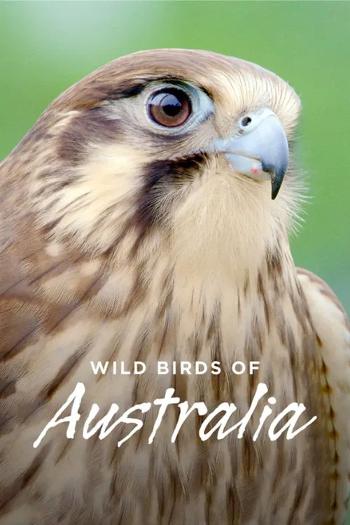 Wild Birds of Australia poster