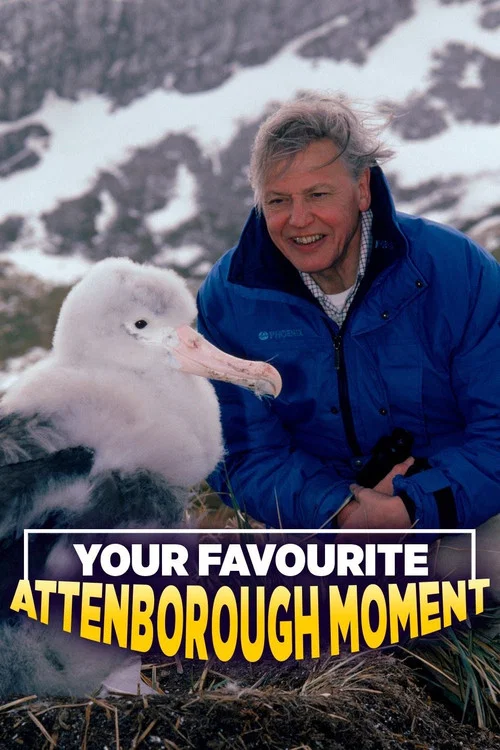 Movie poster for Your Favourite Attenborough Moment (2006)