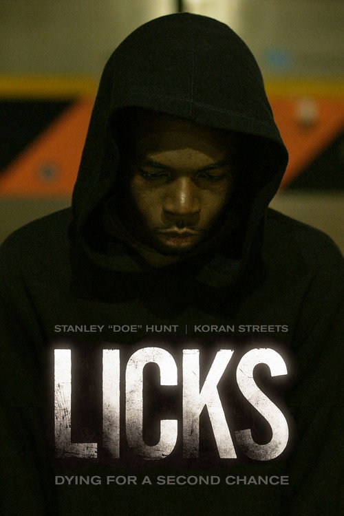Movie poster for Licks (2013)