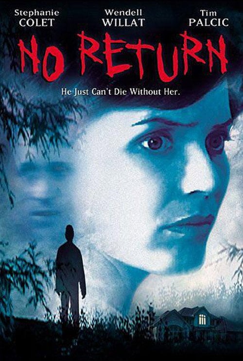 Movie poster for No Return (2003)