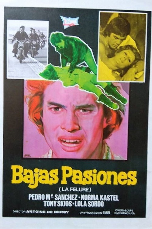 Movie poster for Bajas pasiones (1974)
