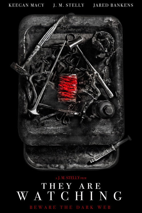 Movie poster for They Are Watching (2024)