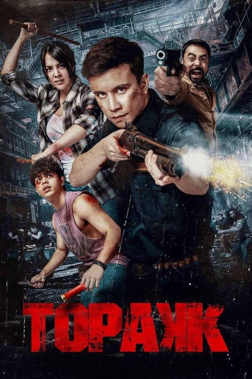 Movie poster for Triggered (2024)