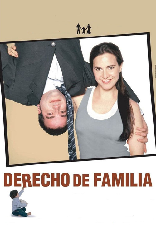 Movie poster for Family Law (2006)
