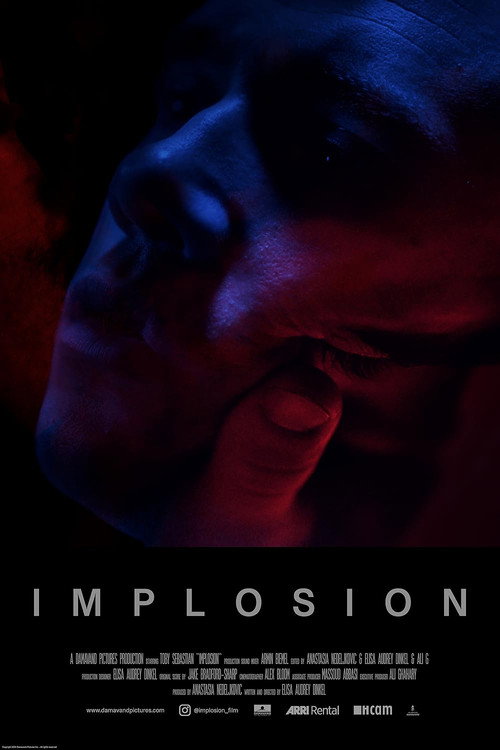 Movie poster for Implosion (2025)