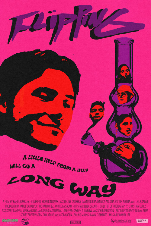 Movie poster for Flipping (2022)
