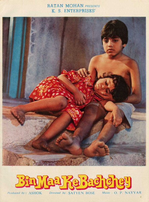 Movie poster for Bin Maa Ke Bachche (2009)