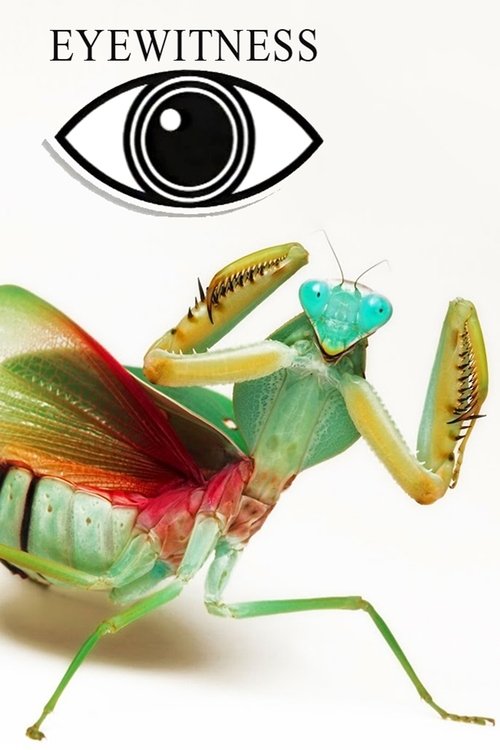 Eyewitness poster