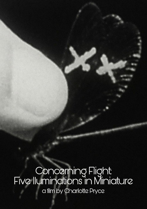 Movie poster for Concerning Flight: Five Illuminations In Miniature (2004)