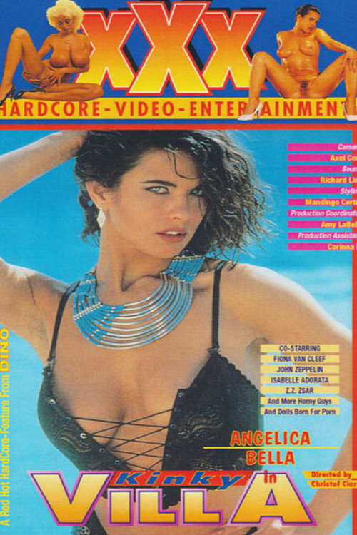 Movie poster for Kinky Villa (1995)