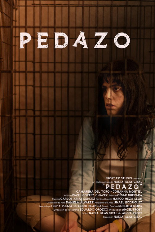 Movie poster for Shards