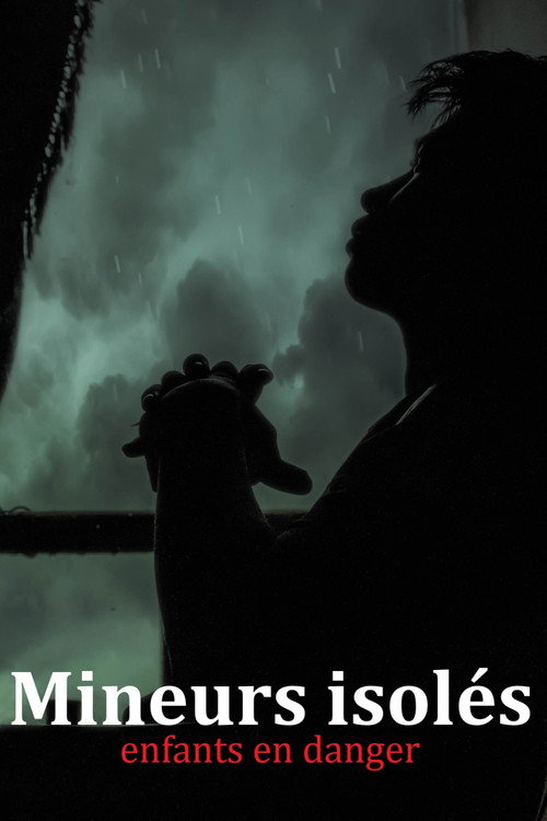 Movie poster for Lost Children. Thirty Thousand Minors Missing (2017)