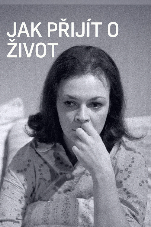 Movie poster for Jak přijít o život (1974)
