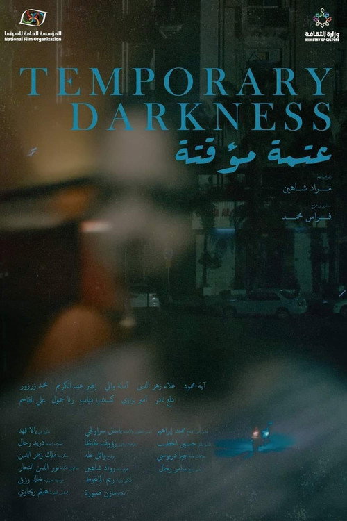 Movie poster for Temporary Darkness (2024)