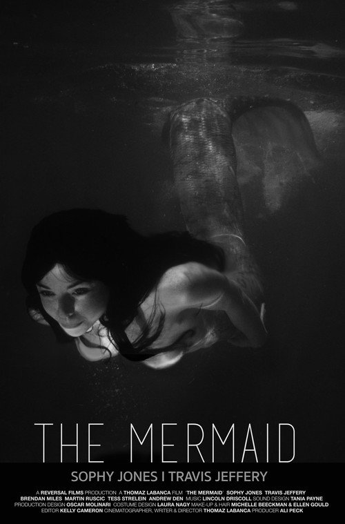 Movie poster for The Mermaid (2015)