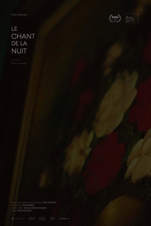 Movie poster for A Night Song (2022)
