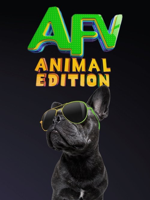 America's Funniest Home Videos: Animal Edition poster