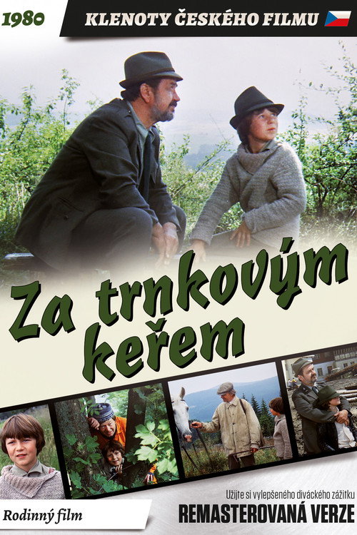 Movie poster for Behind the Sloe-Bush (1981)
