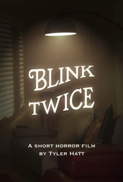 Movie poster for Blink Twice (2022)