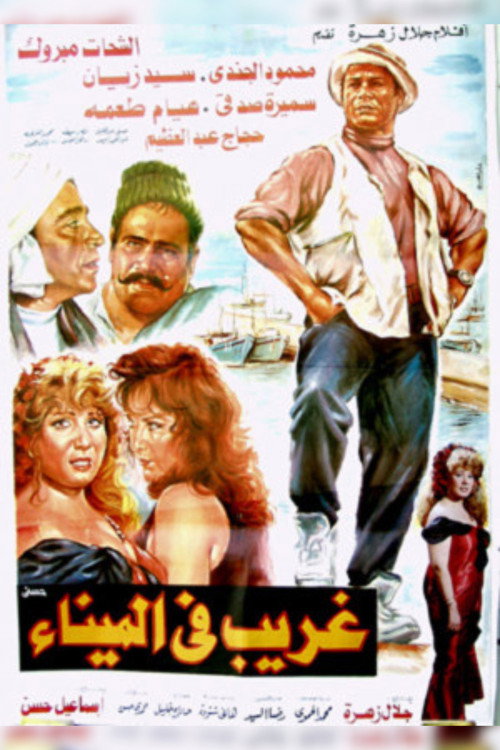 Movie poster for غريب فى الميناء (1995)