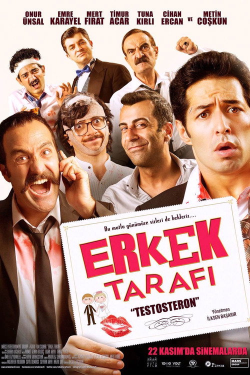 Movie poster for Erkek Tarafı: Testosteron (2013)