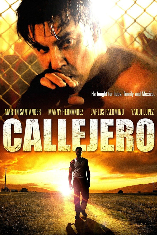 Movie poster for Callejero (2015)