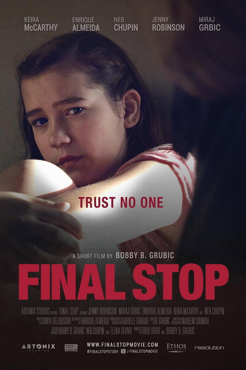 Movie poster for Final Stop (2016)