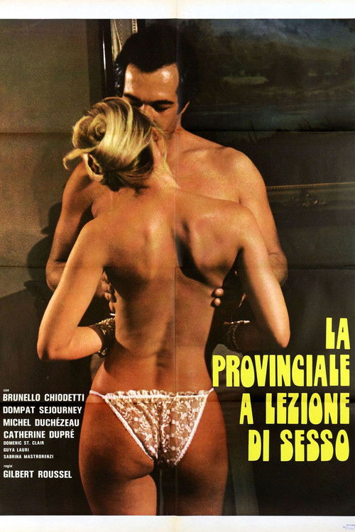 Movie poster for La provinciale a lezione di sesso (1980)