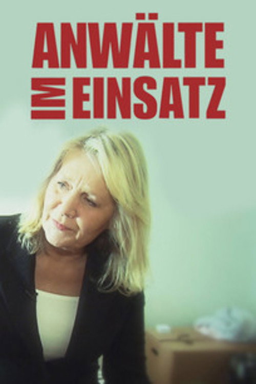 Series poster for Anwälte im Einsatz (2013)