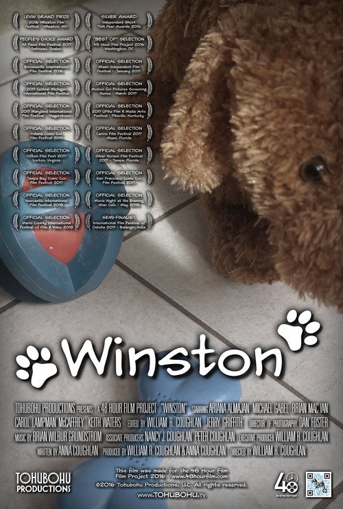 Movie poster for Winston (2016)