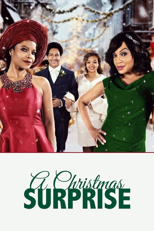 Movie poster for A Christmas Surprise (2020)