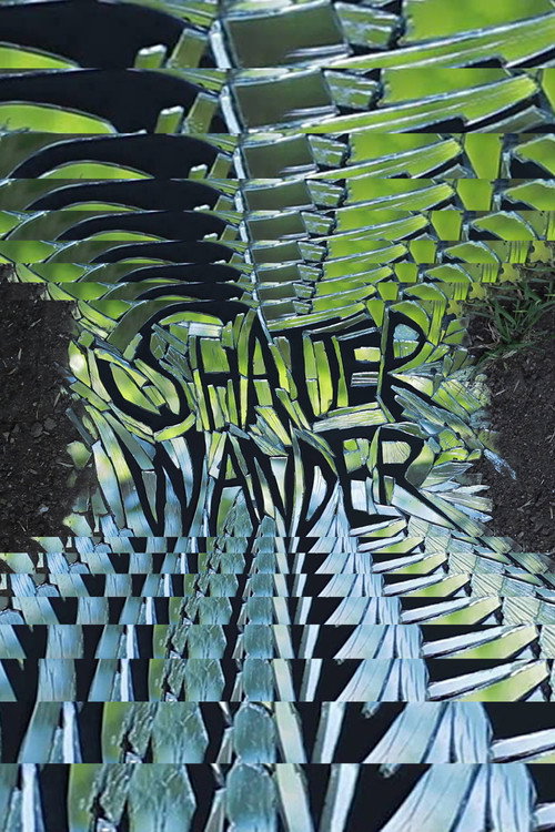 Movie poster for Shatter Wander