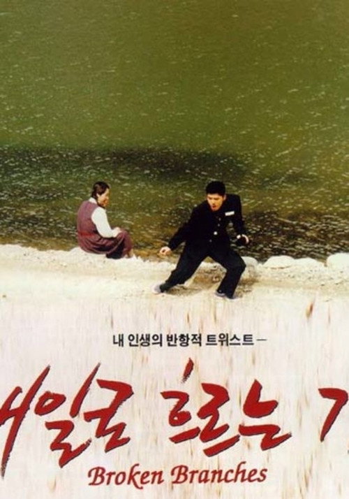 Movie poster for Broken Branches (1996)