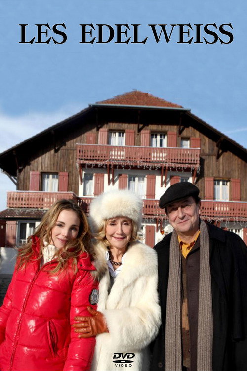 Movie poster for Bienvenue aux Edelweiss (2010)
