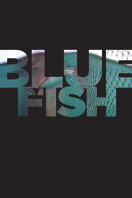Movie poster for Bluefish (2017)