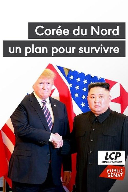 Movie poster for North Korea: A Plan to Survive (2023)