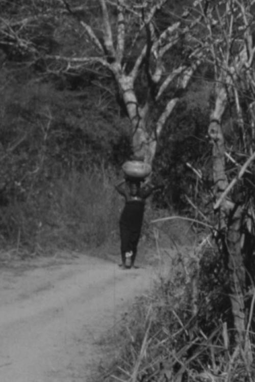 Movie poster for The Way to Nola's Farm