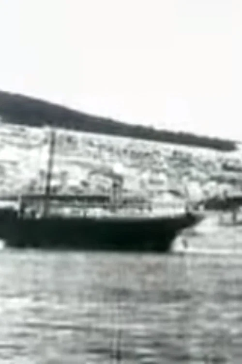Movie poster for Port of Šibenik (1904)
