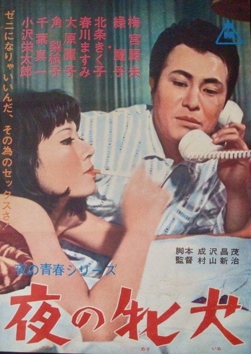 Movie poster for Night Bitch (1966)