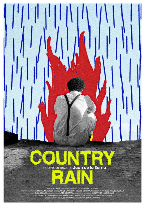 Movie poster for Country Rain