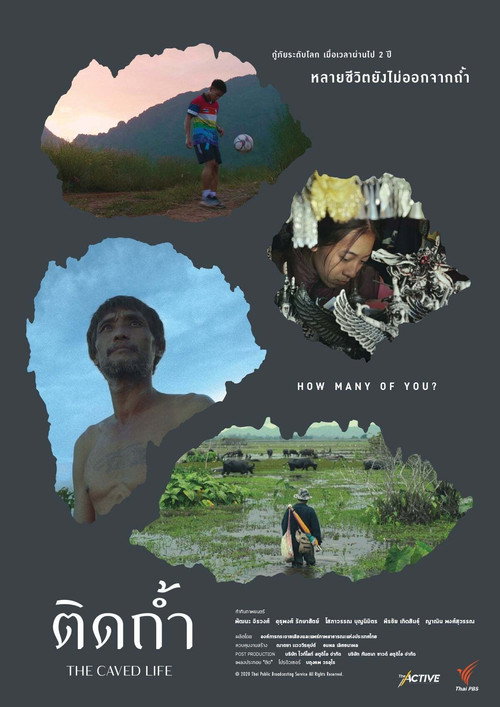 Movie poster for The Caved Life (2020)