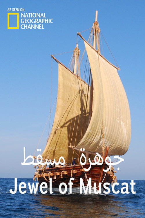 Movie poster for Arab Treasure Ship (2012)