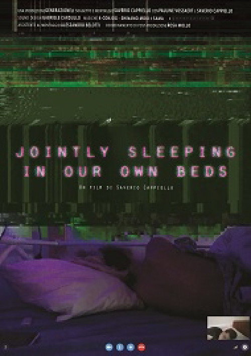 Movie poster for Jointly Sleeping in Our Own Beds (2017)