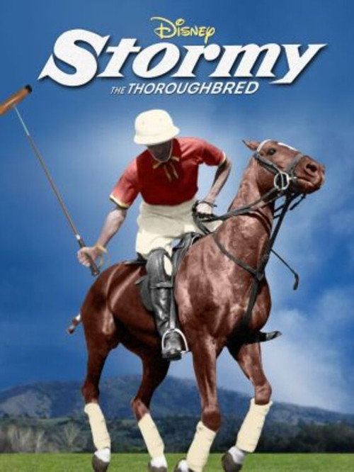 Movie poster for Stormy, the Thoroughbred (1954)