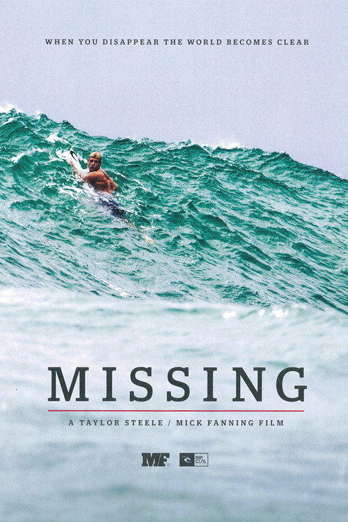 Movie poster for Missing (2013)