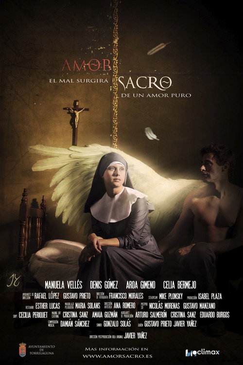 Movie poster for Amor sacro (2011)