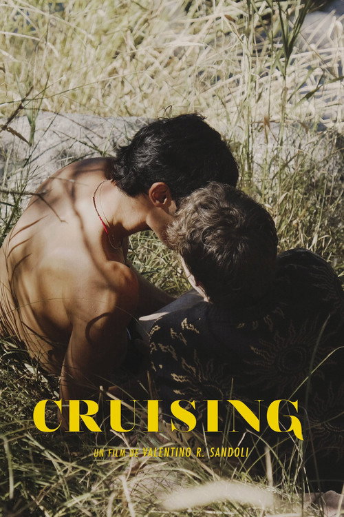 Movie poster for Cruising (2020)