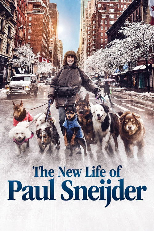 Movie poster for The New Life of Paul Sneijder (2016)
