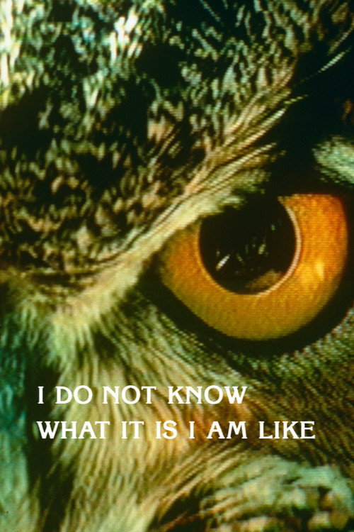 Movie poster for I Do Not Know What It Is I Am Like (1986)