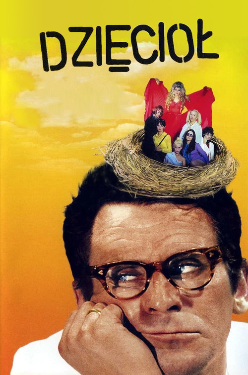 Movie poster for The Woodpecker (1971)